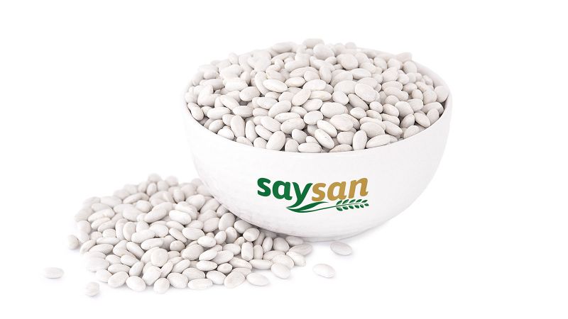 Fasulye
