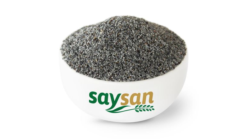 Haşhaş